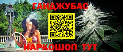 прущие грибы Севастополь