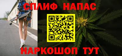 прущие грибы Севастополь