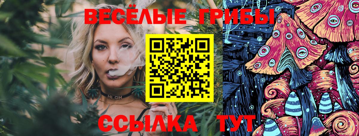 Псилоцибиновые грибы Psilocybine cubensis Санкт-Петербург